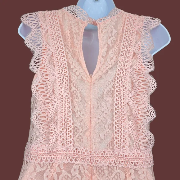 Lulus Womens My Sweetheart Peachy Pink Lace Mini Dress Size S NWT - Picture 3 of 6